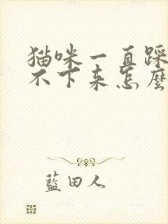 猫咪一直踩奶停不下来怎么办