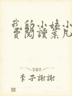 我的小姨小说免费阅读叶凡