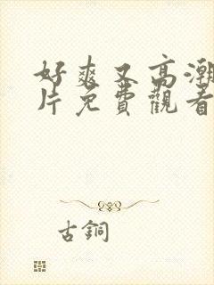 好爽又高潮了毛片免费观看