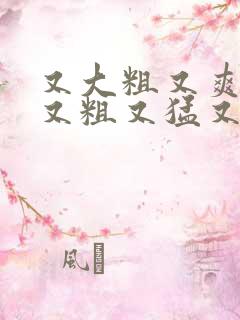 又大粗又爽国产又粗又猛又,爽又黄的视频