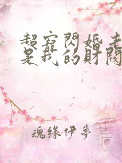 超宠闪婚老公竟是我的财阀大佬上司