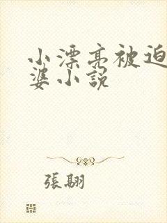 小漂亮被迫当老婆小说