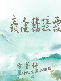 主人捏住两个奶头使劲拉扯