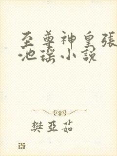 至尊神皇张若尘池瑶小说