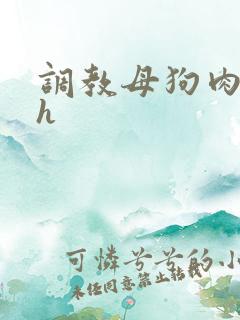 调教母狗肉便器h