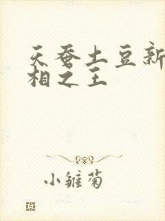 天蚕土豆新书万相之王