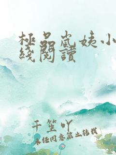 极品岚姨小说在线阅读