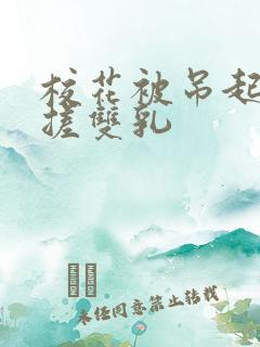 校花被吊起来揉搓双乳