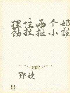 捏住两个奶头使劲拉扯小说