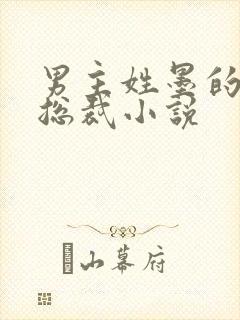 男主姓墨的霸道总裁小说