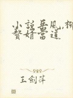 小说岳风,柳萱赘婿当道