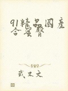 91精品国产综合蜜臀