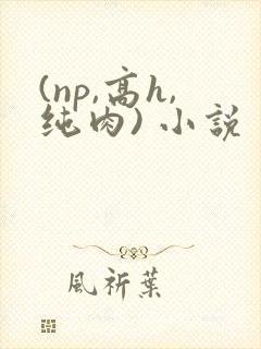 (np,高h,纯肉) 小说