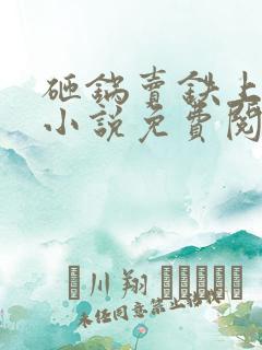 砸锅卖铁上学去小说免费阅读全文