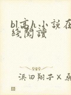 bl高h小说在线阅读