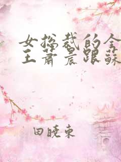 女总裁的全能兵王萧晨跟苏晴