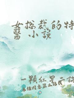 女总裁的特种神医 小说