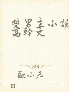 双男主小说推荐高干文