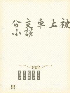 公交车上被插的小说