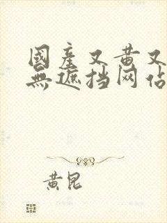 国产又黄又爽又无遮挡网站