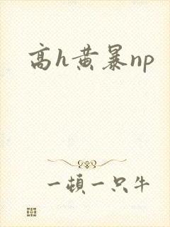 高h黄暴np