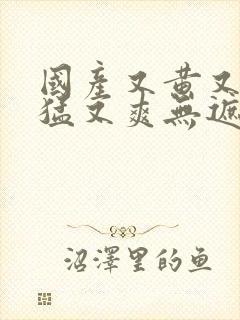 国产又黄又粗又猛又爽无遮挡