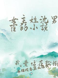 女主姓沈男主姓霍的小说