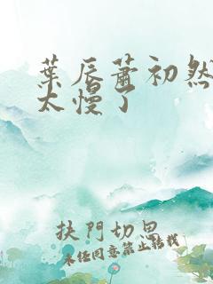 叶辰萧初然更新太慢了