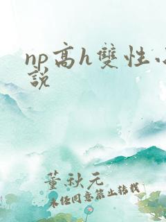 np高h双性小说