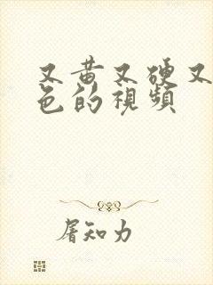 又黄又硬又爽又色的视频