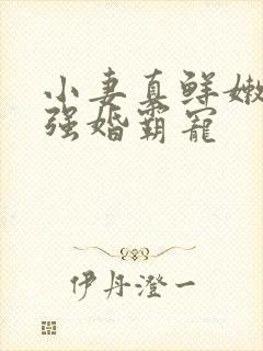 小妻真鲜嫩总裁强婚霸宠