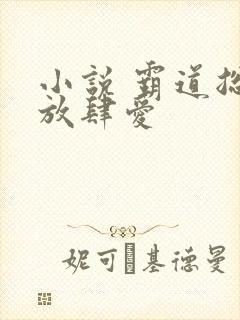 小说 霸道总裁放肆爱