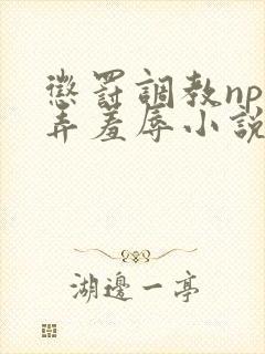 惩罚调教np玩弄羞辱小说