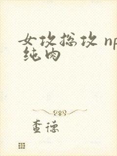 女攻总攻 np 纯肉