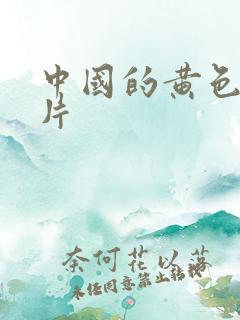 中国的黄色一级片