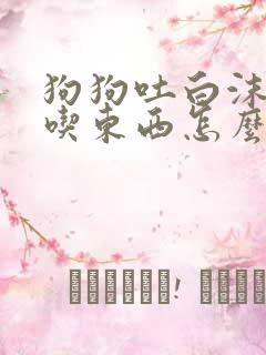 狗狗吐白沫还不吃东西怎么办