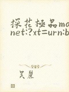 探花极品magnet:?xt=urn:btih: