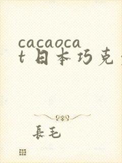 cacaocat 日本巧克力