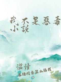 我不是恶毒女配小说