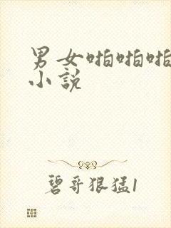 男女啪啪啪细节小说