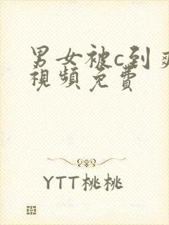 男女被c到爽流视频免费