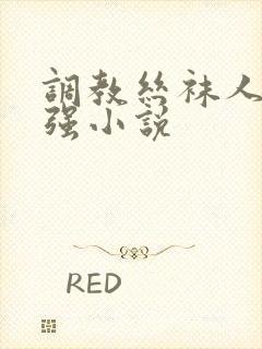 调教丝袜人妻小强小说