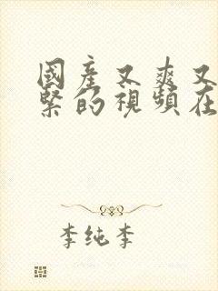 国产又爽又湿又紧的视频在线观看