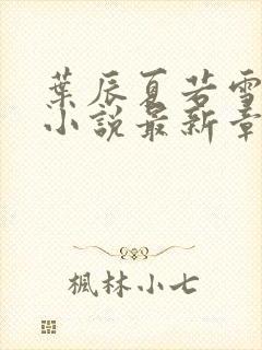 叶辰夏若雪孙怡小说最新章节免费