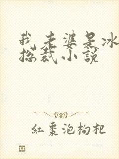 我老婆是冰山女总裁小说