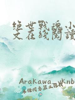 绝世战魂小说全文在线阅读