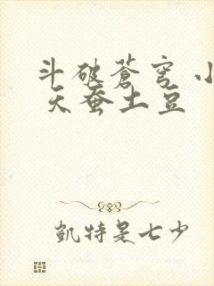 斗破苍穹 小说 天蚕土豆