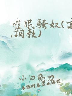 催眠骚奴(高h,调教)