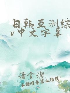 日韩亚洲综合av中文字幕