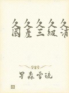 久久久久久精品国产三级消防员